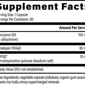 CoQ10, BioPQQ, and Shilajit ingredients used in Global Healing supplement