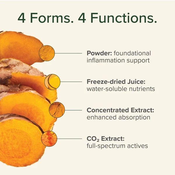 Global Healing Organic Liquid Turmeric for daily wellness support